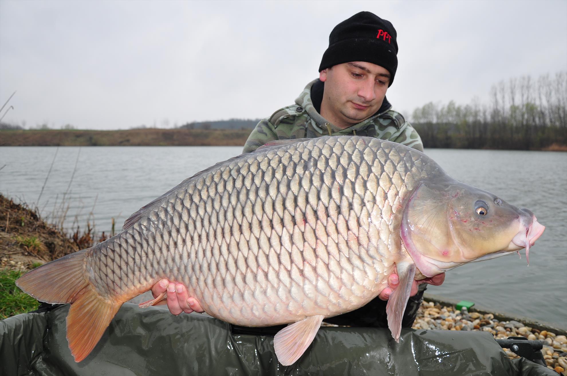 Varlaam 26 - 29 martie 2015 - att1427635121279005.JPG